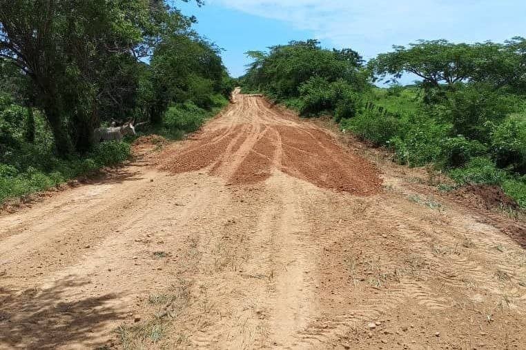 avnve's tweet photo. #Regiones || Reportan 64% de avance en vialidad agrícola de Guárico

➡️https://t.co/Z5jhQHgnEa https://t.co/nbaP7xJyy1