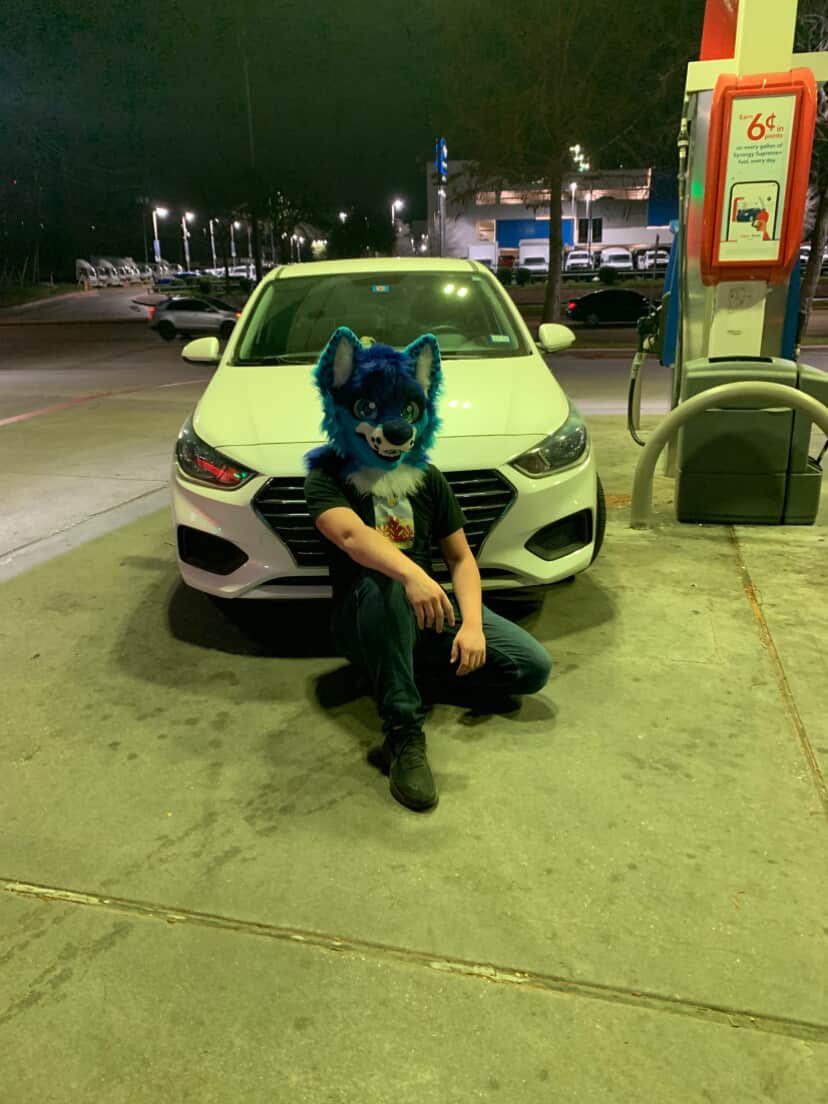 MuddyBasilisk's tweet photo. @CarFurs Bonus! Car and work truck :33 https://t.co/ZMKmfP3qRv