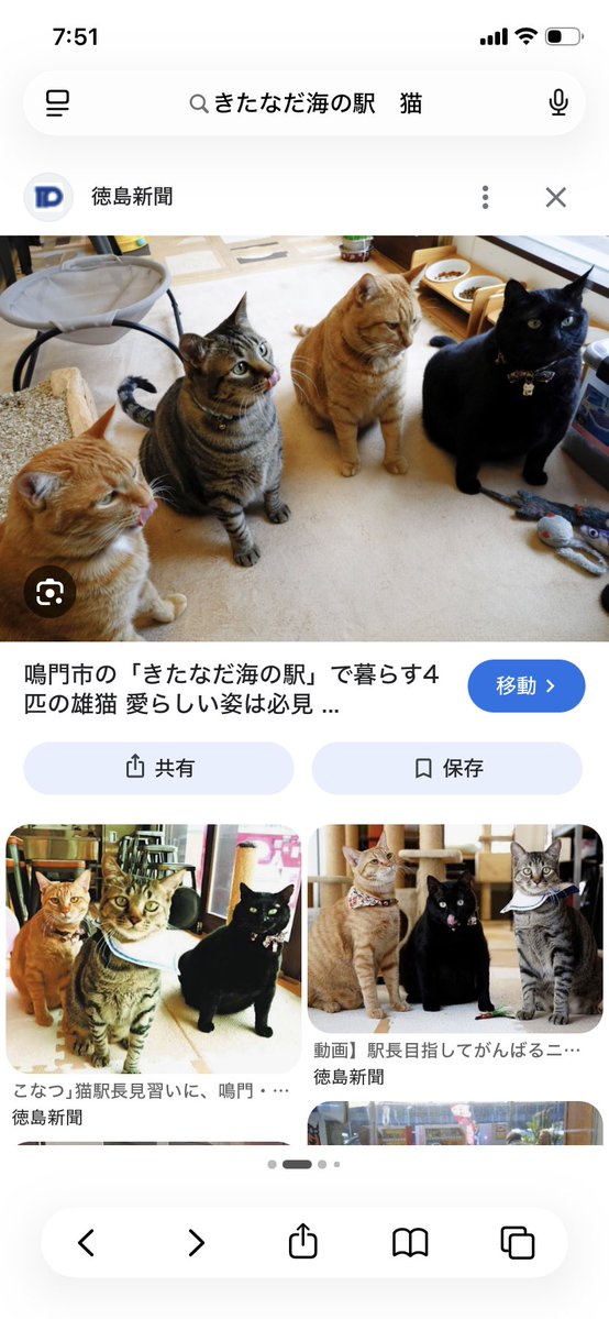 creacream's tweet photo. @doubutuhukushi 徳島県の漁港　きたなだ海の駅　の🐱たちはみんな保護されてたよ…猫たち専用のおうちがある。
ガラス張りで見れた https://t.co/Nj68Ar5oVg