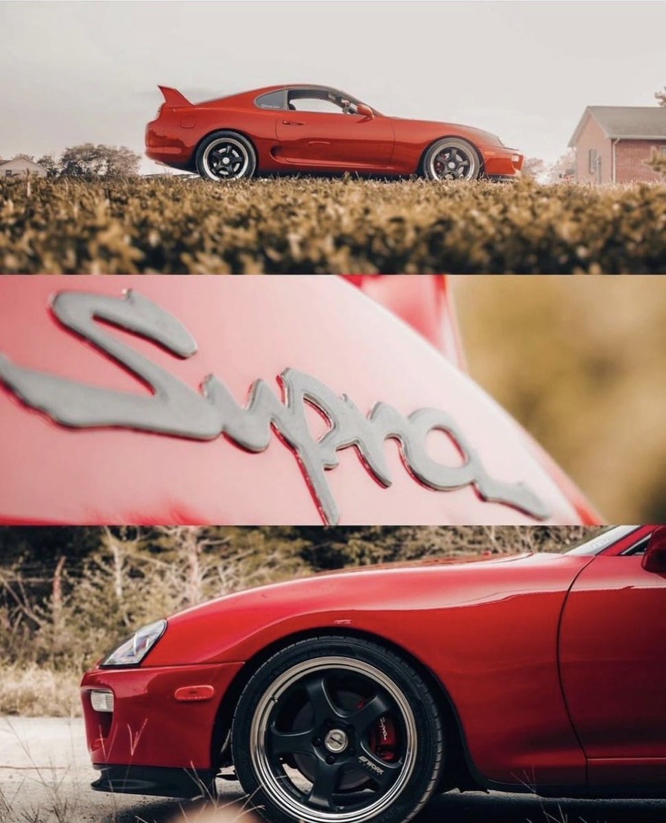 SupraVaultx's tweet photo. Supra ‼️ https://t.co/PVSM1uUuHq