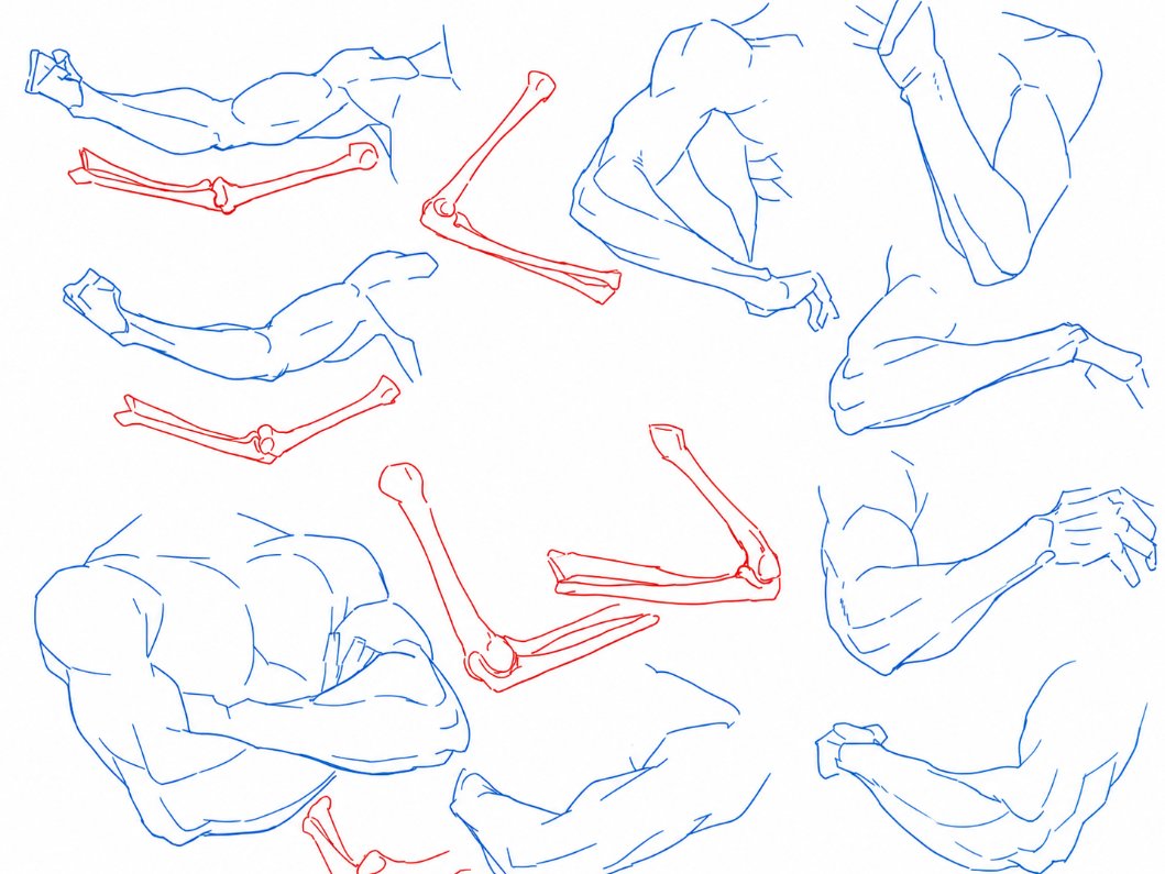 ChromaFlowx's tweet photo. arm reference study https://t.co/M0HaEyM9ur