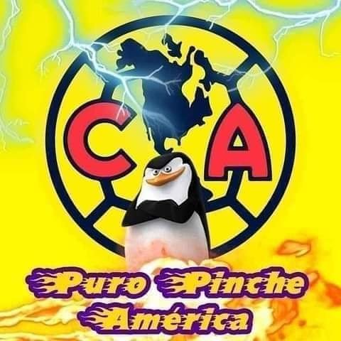 JohanPark07's tweet photo. @Lyraworldxm Mis poderosísimas águilas del América https://t.co/10MnM1Acts
