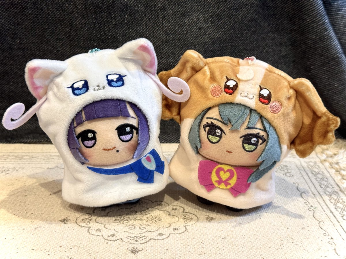 kimowota_dog724's tweet photo. 仲良しキズナが進化中！ https://t.co/GGbMephGUP