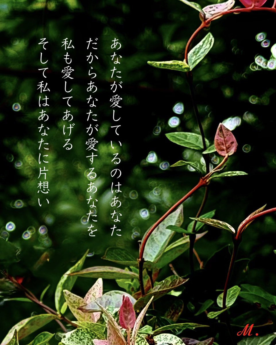 ningyohime22rg0's tweet photo. ⋆✴︎
 #写真詩 #写真 #詩 #永遠に片想いでも

⋆✴︎˚｡⋆⋆✴︎ https://t.co/2IMfOazOZz
