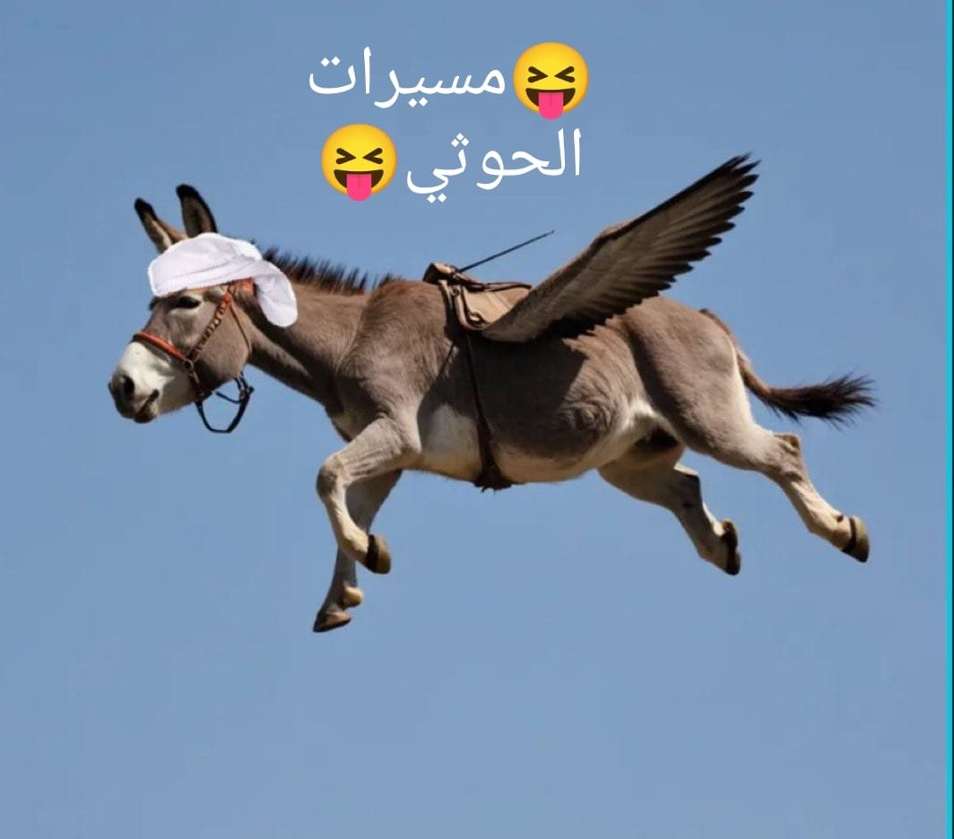 rsail2030sa's tweet photo. @Nasr_Amer1 مسيرة الحوثي 👇🏻🤣🤣👇🏻 https://t.co/q22hClcqDN