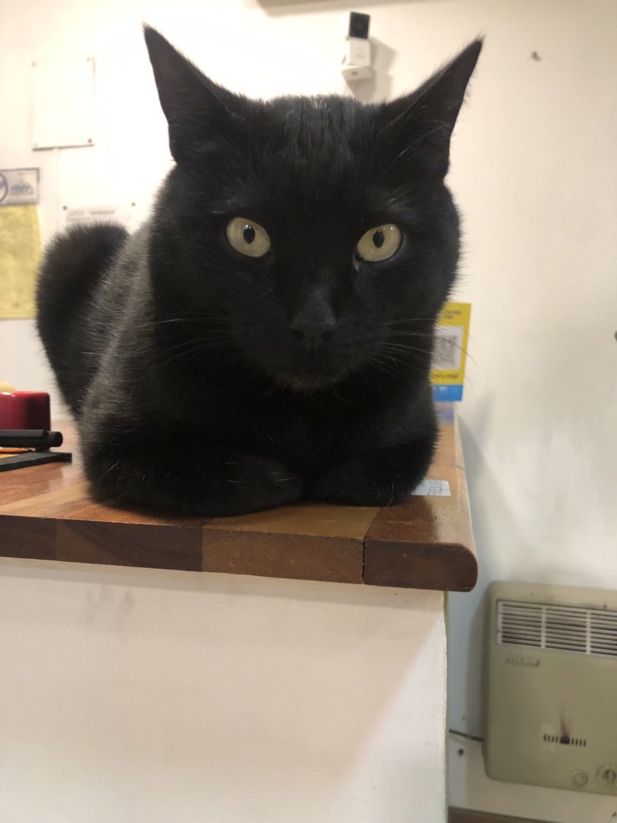 RuelFabio's tweet photo. Mi compañia 🖤 https://t.co/xBUefzCuVR