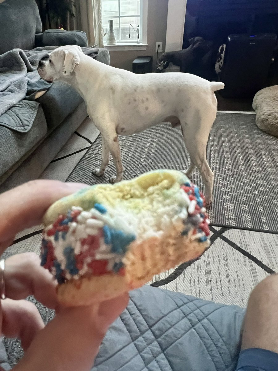 DavisJd1962's tweet photo. #Icecream sandwich 
Heck yeah- red White and Blue https://t.co/FCo4SWsSC9