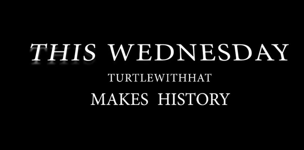 bofcrave's tweet photo. It is officially Turtlewithhat Wednesday. https://t.co/VF7KnixDF9