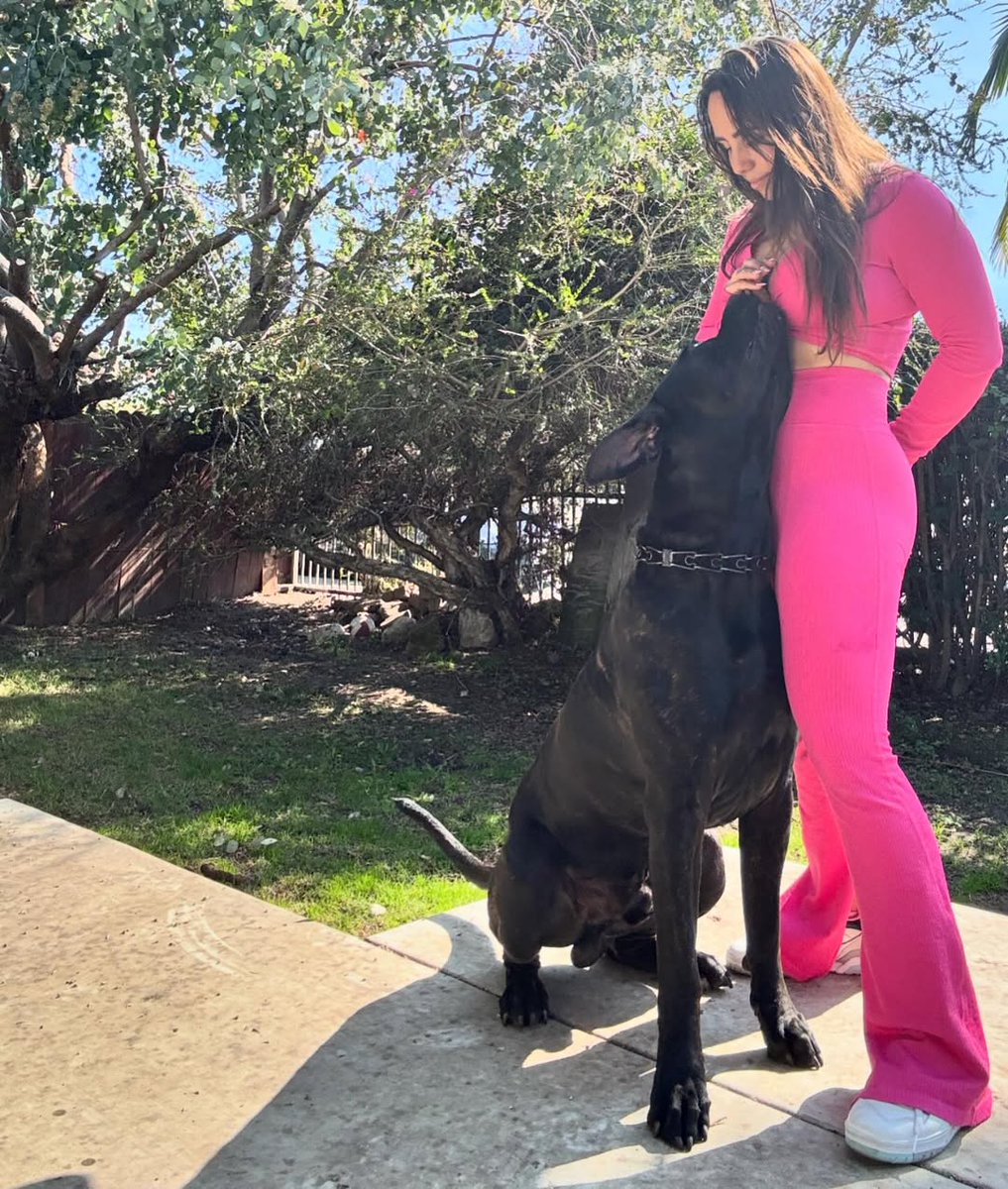 isabella__K9's tweet photo. Unfiltered Smiles, Endless loyalty my dog 🐕 and I share a connection that turns ordinary days into magic. experience our energy.🌟🌟
@STARS_X_16  #dog #dogmom https://t.co/DPOJye0Is9