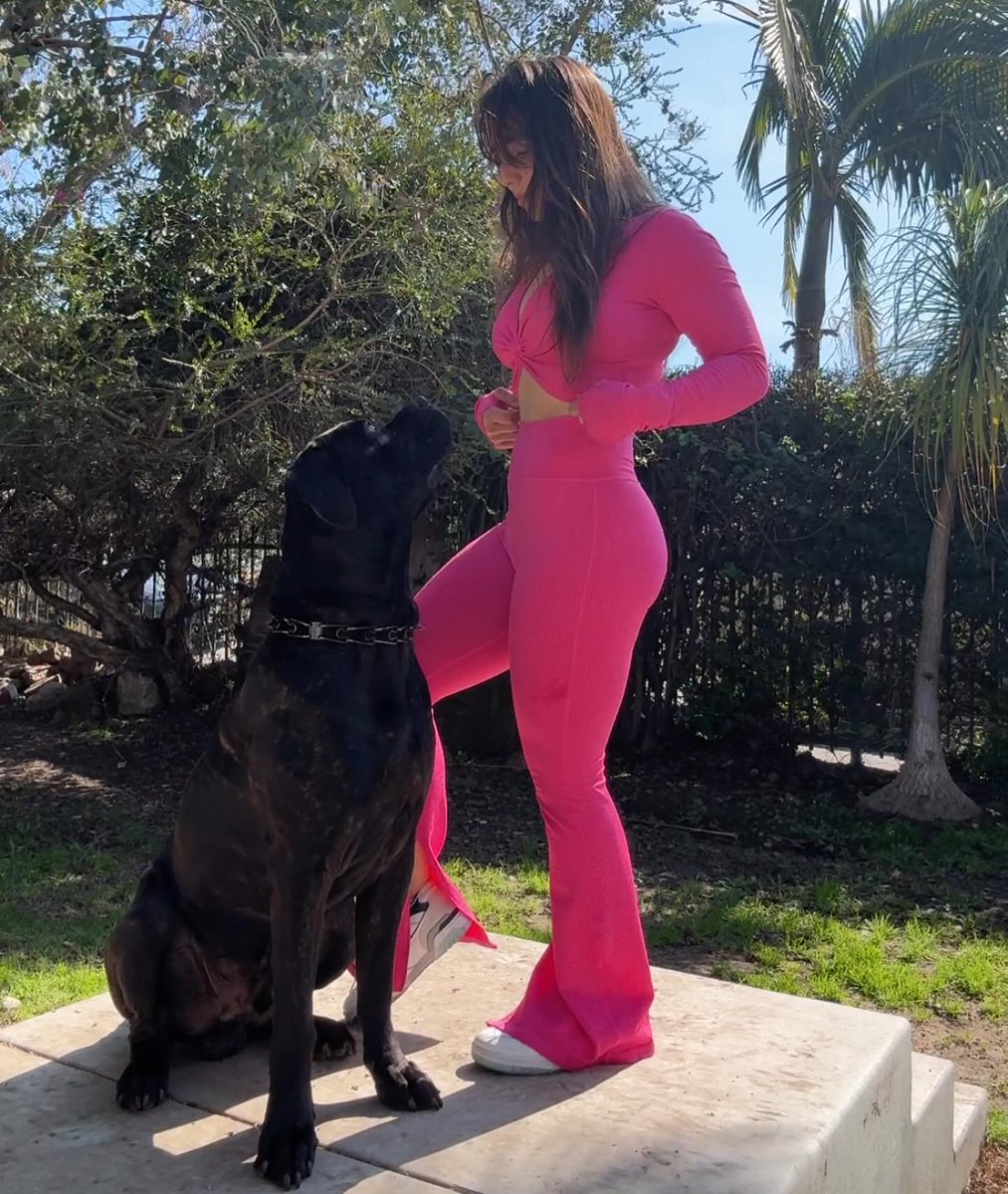 isabella__K9's tweet photo. Unfiltered Smiles, Endless loyalty my dog 🐕 and I share a connection that turns ordinary days into magic. experience our energy.🌟🌟
@STARS_X_16  #dog #dogmom https://t.co/DPOJye0Is9