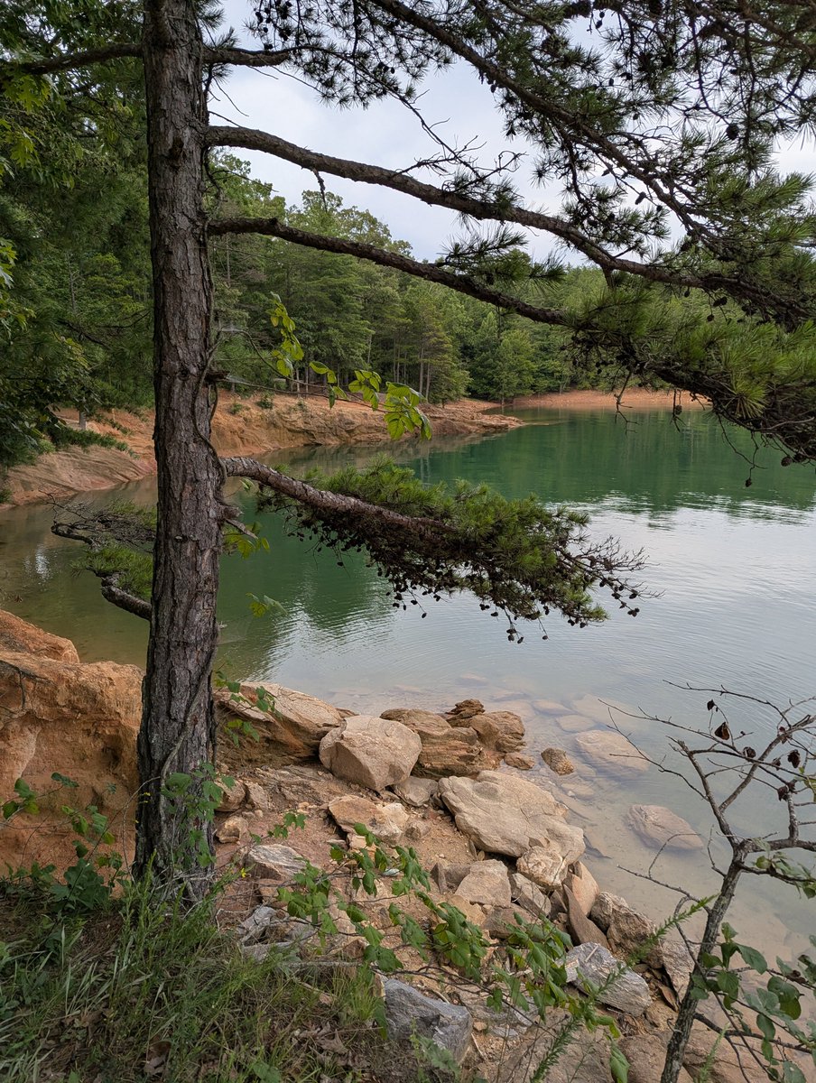 ChristenWeitz's tweet photo. @tuuu28283 I took this picture recently. It is Lake Nottely in northern Georgia, near where I live. https://t.co/3i338UnhYA