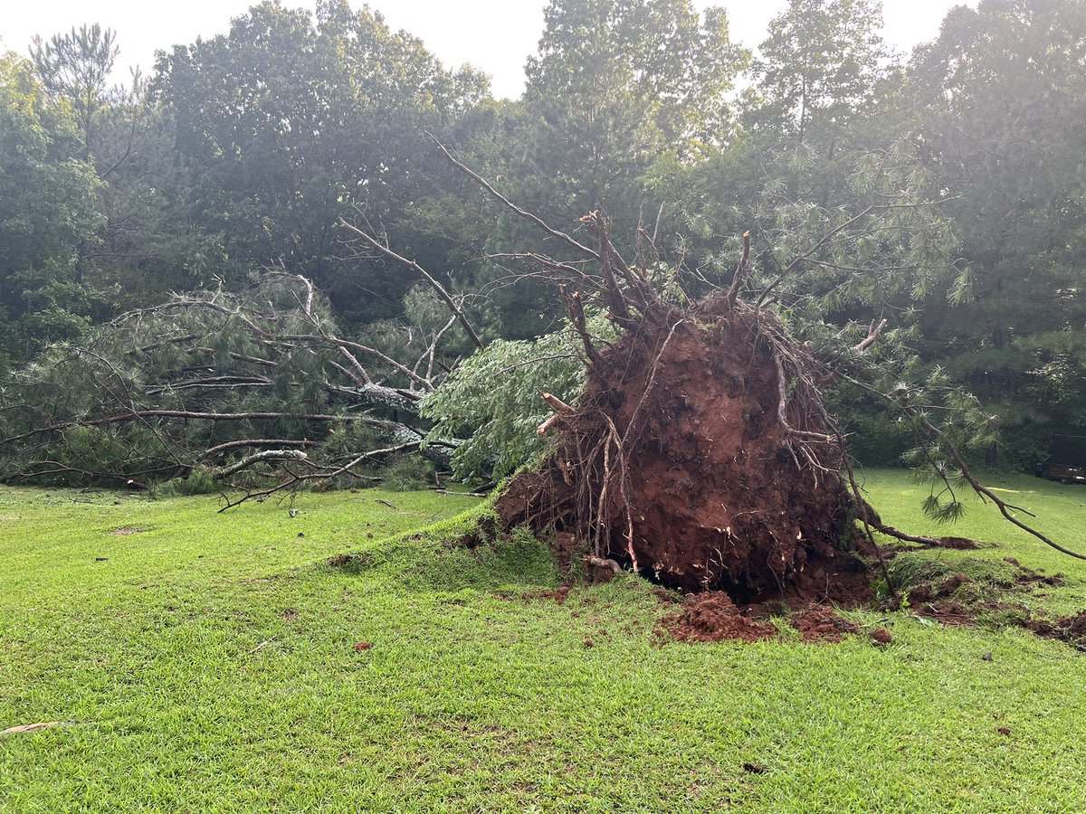 beverleyhightow's tweet photo. @spann Trees down in Leesburg Alabama https://t.co/CV0FOwQCXG