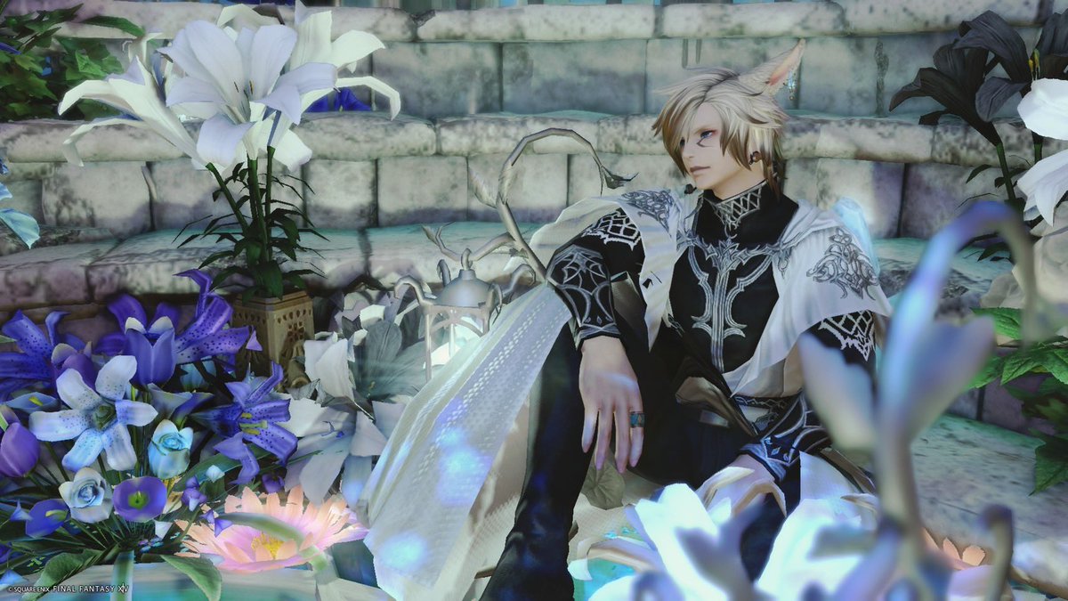 cen_ff14's tweet photo. おはよ🐈🐾
クレセント眠すぎてやばいけど
魔の塔行きたいからレベル上げ頑張る💪

#おはミコ　#FF14 https://t.co/se5Gdqcvk3