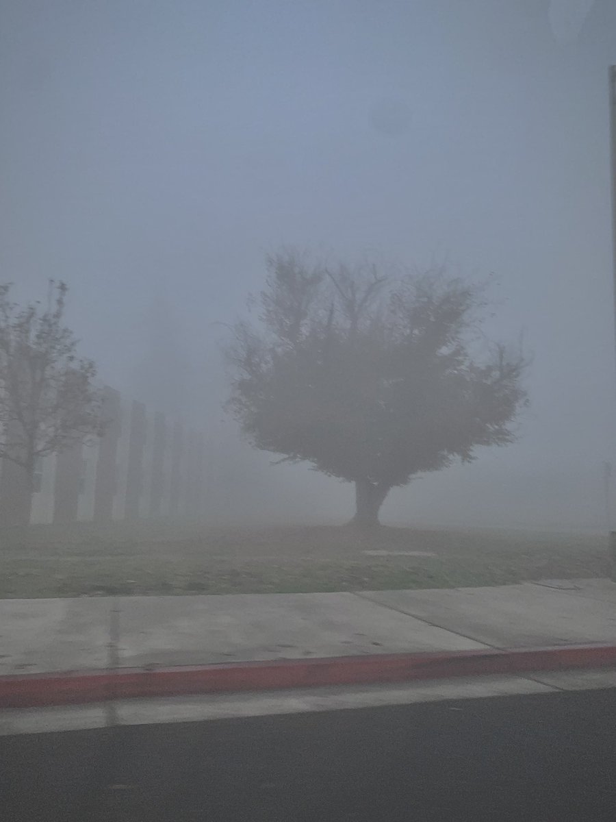 bburrito15's tweet photo. In my restless dreams, I see that town. https://t.co/1rxAUasgfh