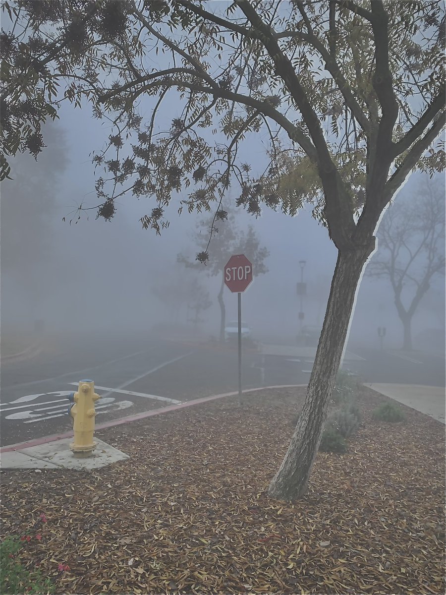 bburrito15's tweet photo. In my restless dreams, I see that town. https://t.co/1rxAUasgfh