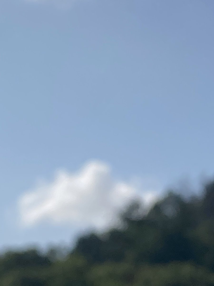 himi3's tweet photo. ん？
よーわからんが、さっと一雨落ちたらしい…
地面乾いとるから、わからん… https://t.co/7iujEUCLop