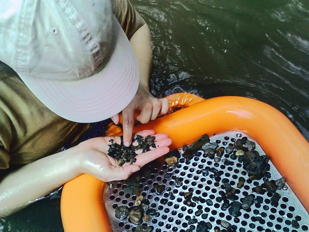 A person wearing a beige cap is sorting through small rocks and minerals in a sieve tray while standing in water. Their hand holds several stones as they examine them closely.