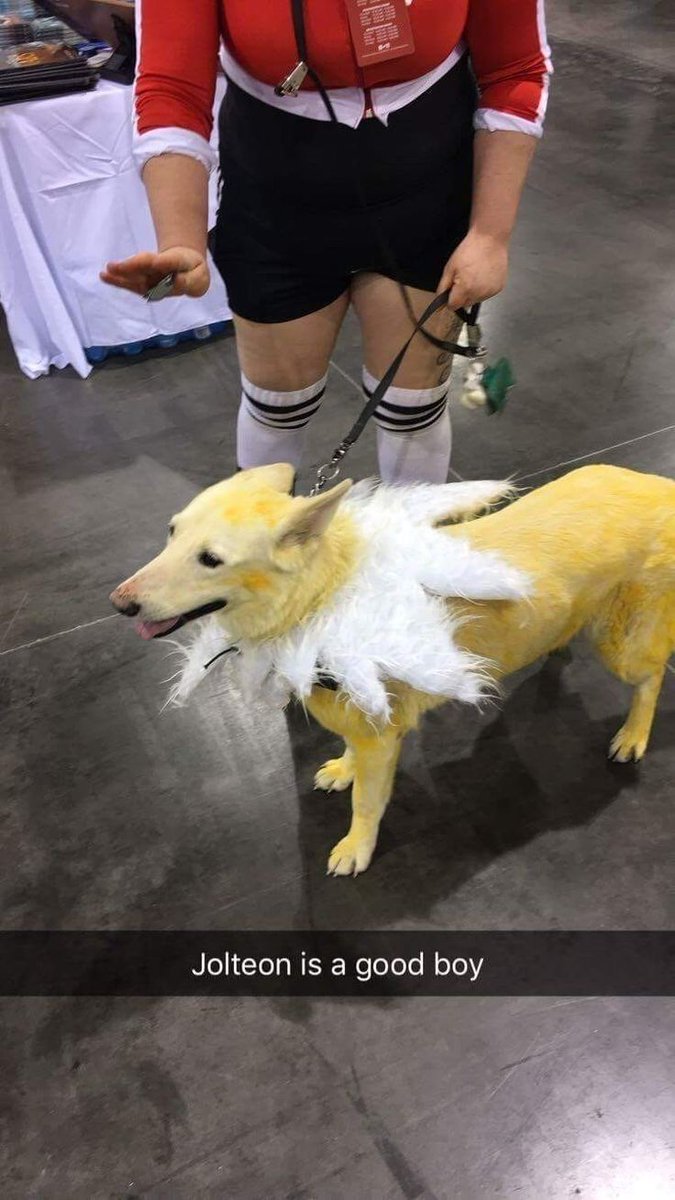PKMN_twt's tweet photo. https://t.co/CftQCW0Zwg