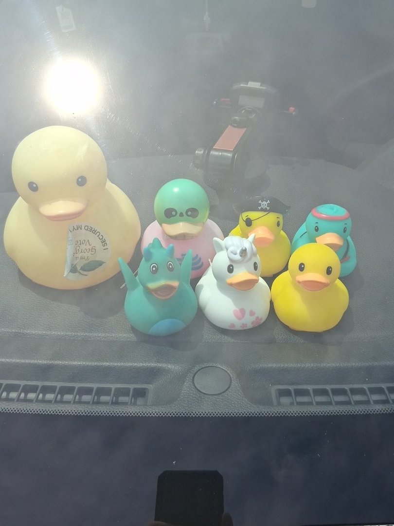 NightsAngel1's tweet photo. Didn't know what to post. So have some ducks. https://t.co/Sqq8paIYbG