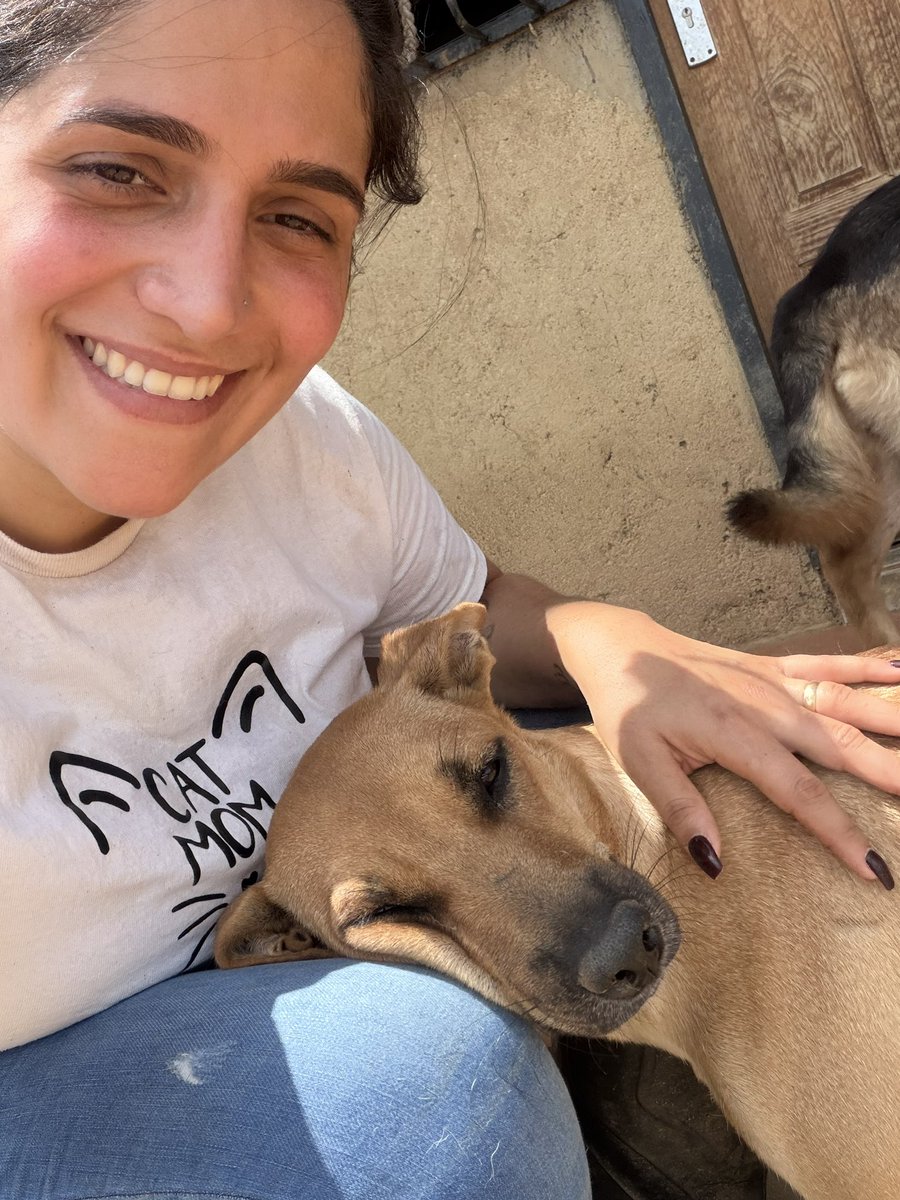 ayudemosapluto's tweet photo. We try to stay calm and trust in God, and above all, give our best every day for them. We have a large debt at the vet; we need to buy more dry and wet food. No amount you can donate makes a difference 🙏🏻 And if you can't donate, please help us share this post. https://t.co/HLraoMCFst