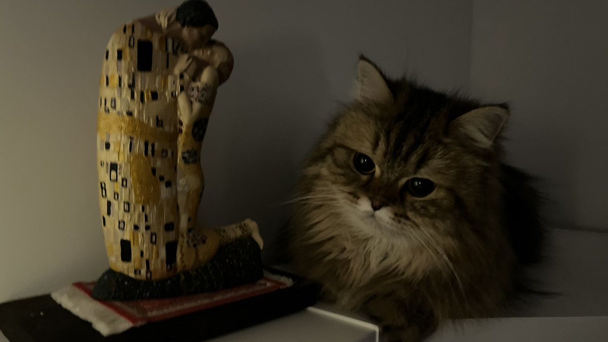 slowdivespirit's tweet photo. She is admiring Gustav Klimt’s work. https://t.co/C1oUialrgW