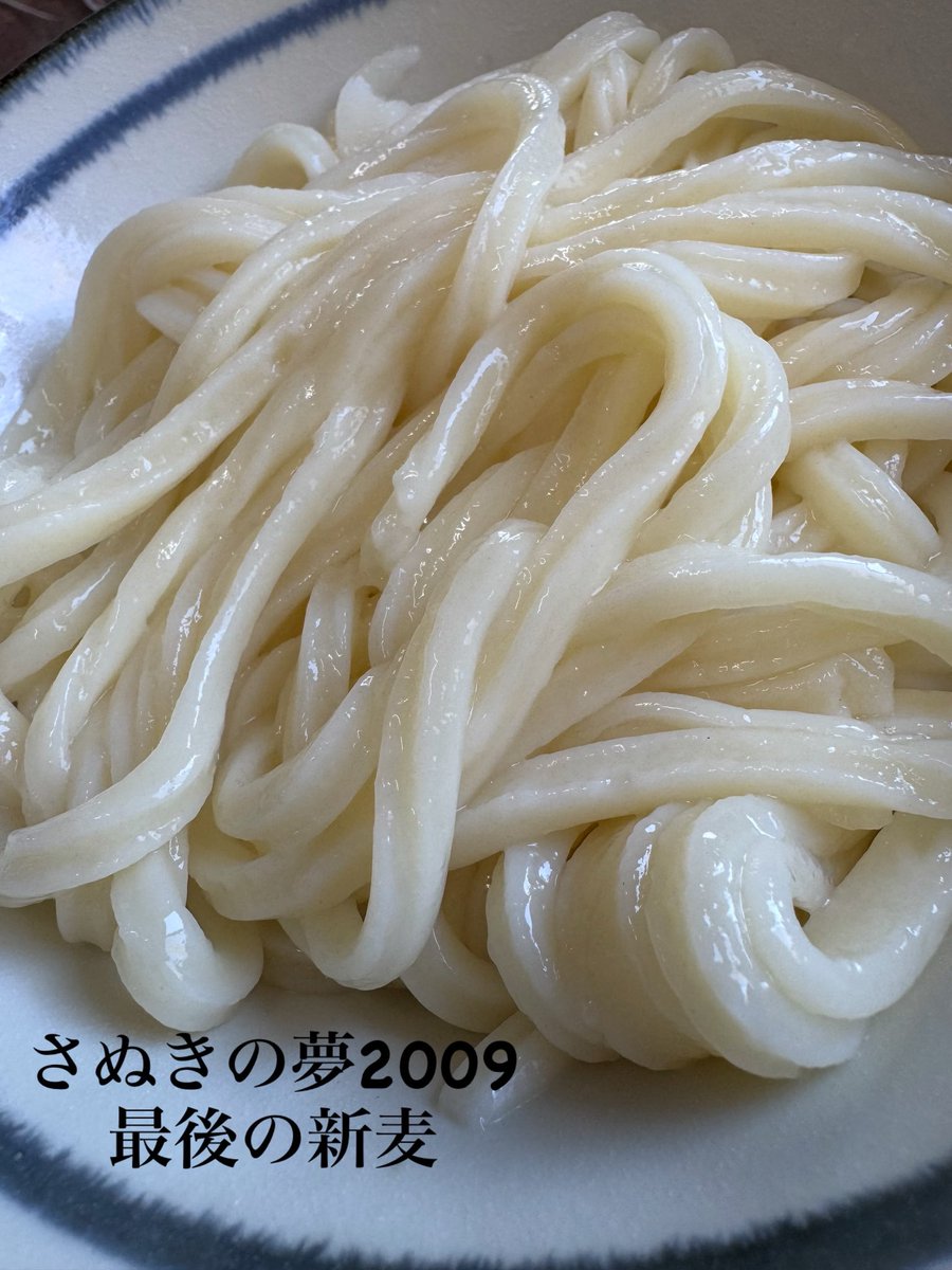 menyaooshima204's tweet photo. おはようございます！

本日は5のつく日、国産小麦100%の日‼️

今回の国産小麦は
吉原食糧さんの『さぬきの夢2009』の新麦です！
ここへきてまさかの新麦が手に入りました！
まさにラストワン賞🏆
来年度は2023へ切り替わるため←2009が終わります🥲🥲😭
新麦で手に入るのは最後のさぬきの夢2009‼️
是非！ご賞味ください！😆

数量限定ですがたくさんご用意しております！
なくなり次第通常麺に切り替えてご提供いたします！🙏

9時30分よりご来店お待ちしてます！
15時00分までよろしくお願い島す！😆✨

#手打麺や大島
#島っていこう
#5のつく日
#国産小麦
#新麦