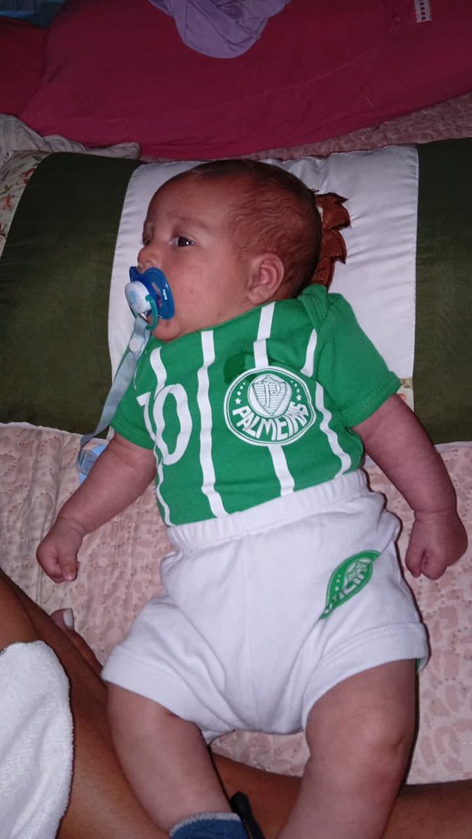 merda_online's tweet photo. aí eu tô apaixonada🥺 https://t.co/au0JhcqmlX