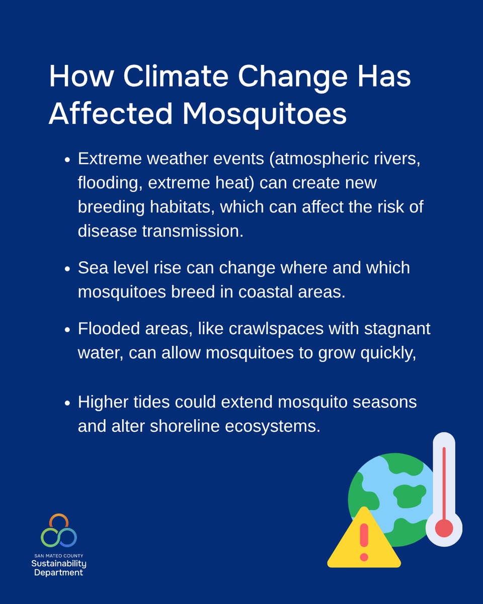 SustainSMC's tweet photo. When you think about the possible effects of climate change, what comes to mind? It's probably not the potential effect these changes could have on mosquitoes. 
To read the full blog post, visit our blog at https://t.co/KaWJ4VnUK7.
#SustainSMC #SanMateoCounty #SMCVCD #Mosquitoes https://t.co/mKivAIluok