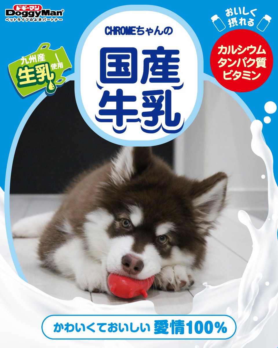 k7128o's tweet photo. #ペットの牛乳フォトグランプリ2026 https://t.co/erY8AGTdBq