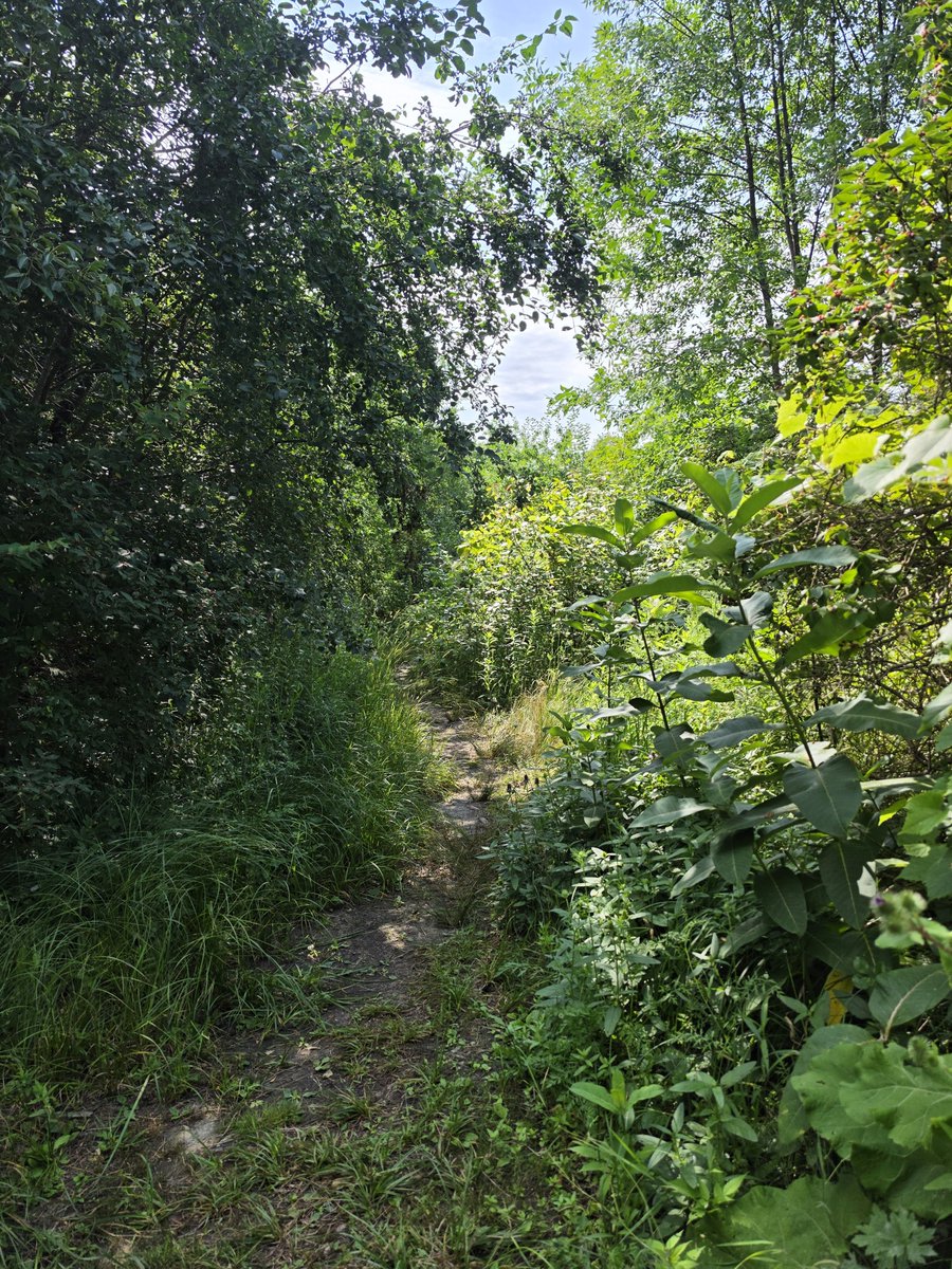 SojkaAnn's tweet photo. #TrailTuesday https://t.co/XxfEEhFE5h
