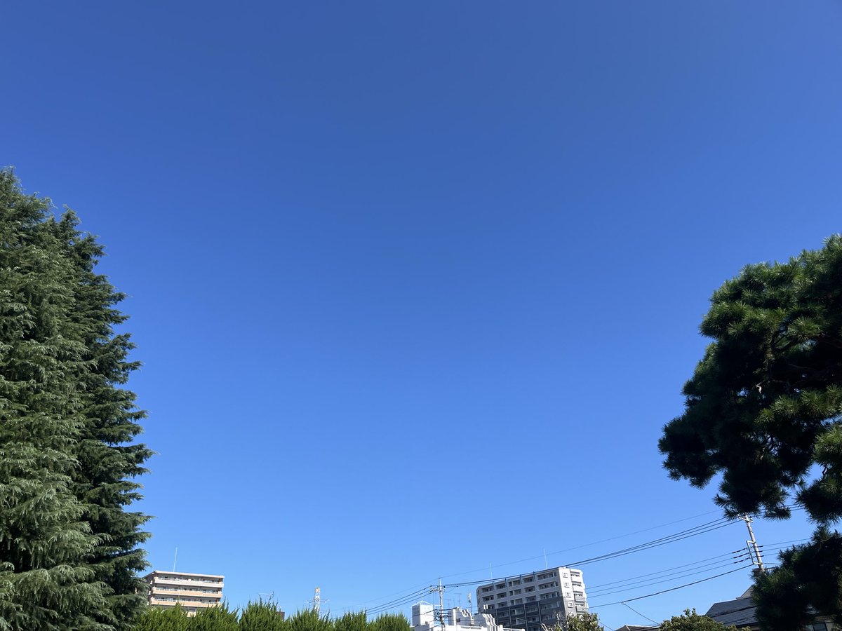 smasuda1's tweet photo. #今日の空 
今日は快晴 https://t.co/znyKNcC6Zi