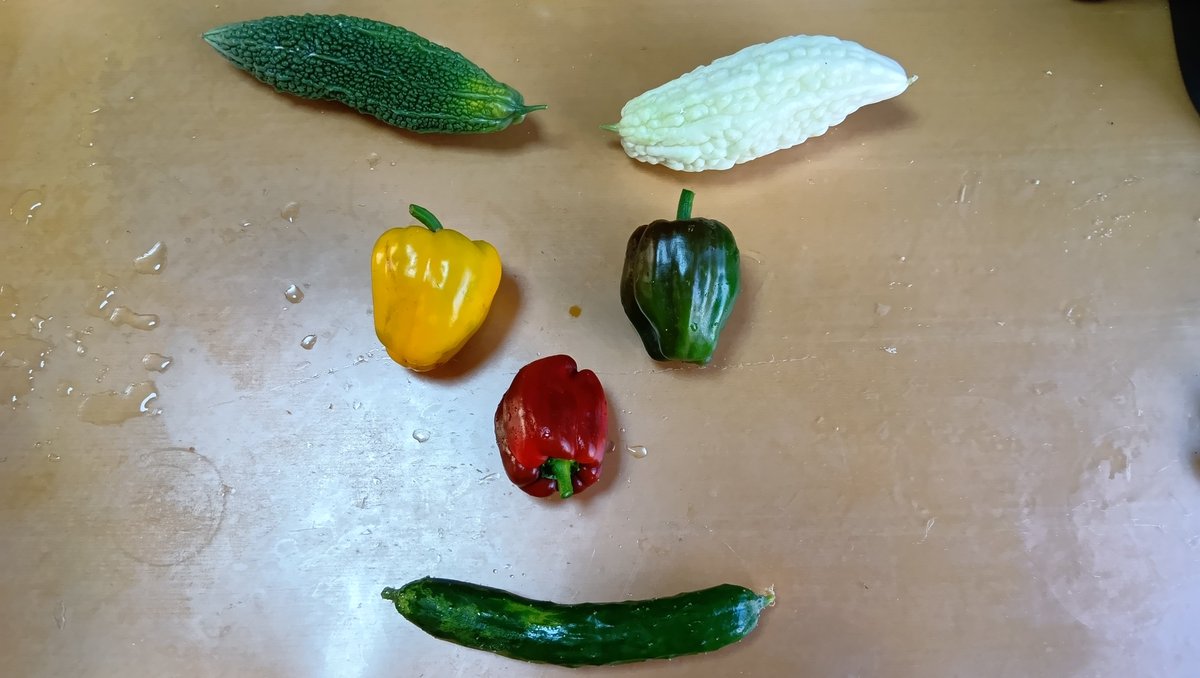 SW27038693's tweet photo. 収穫したパプリカを使って
お顔を描いてみたら
ゴロン族にしか見えなかった件😂

#家庭菜園
#パプリカ
#ゼルダの伝説
#ゴロン族 https://t.co/ggRDczq7Te