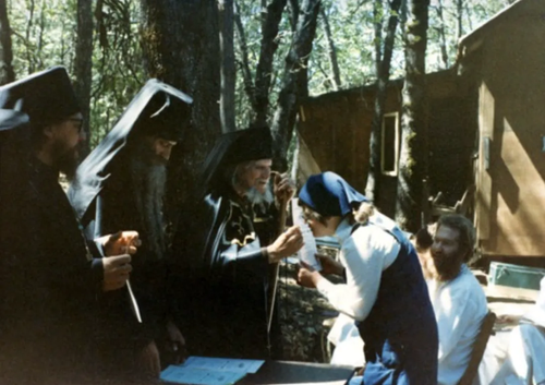 SiegfireDotcom's tweet photo. St. Seraphim of Platina, pray for us. ☦️📿 https://t.co/3UTPWyxzdu