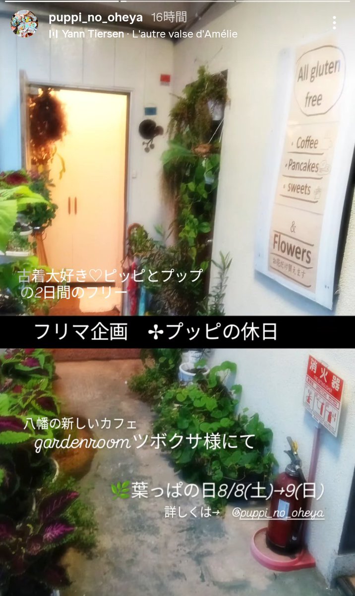 gotukola2's tweet photo. 2026/08/05水曜日
ゴッコラオープン
ツボクサオープン

8/8.9はプッピの休日
ツボクサ内ギャラリースペース
ブラフミーがプッピの、お部屋に大変身。タイムスリップした空間をお楽しみください https://t.co/j7Ye1B3j38