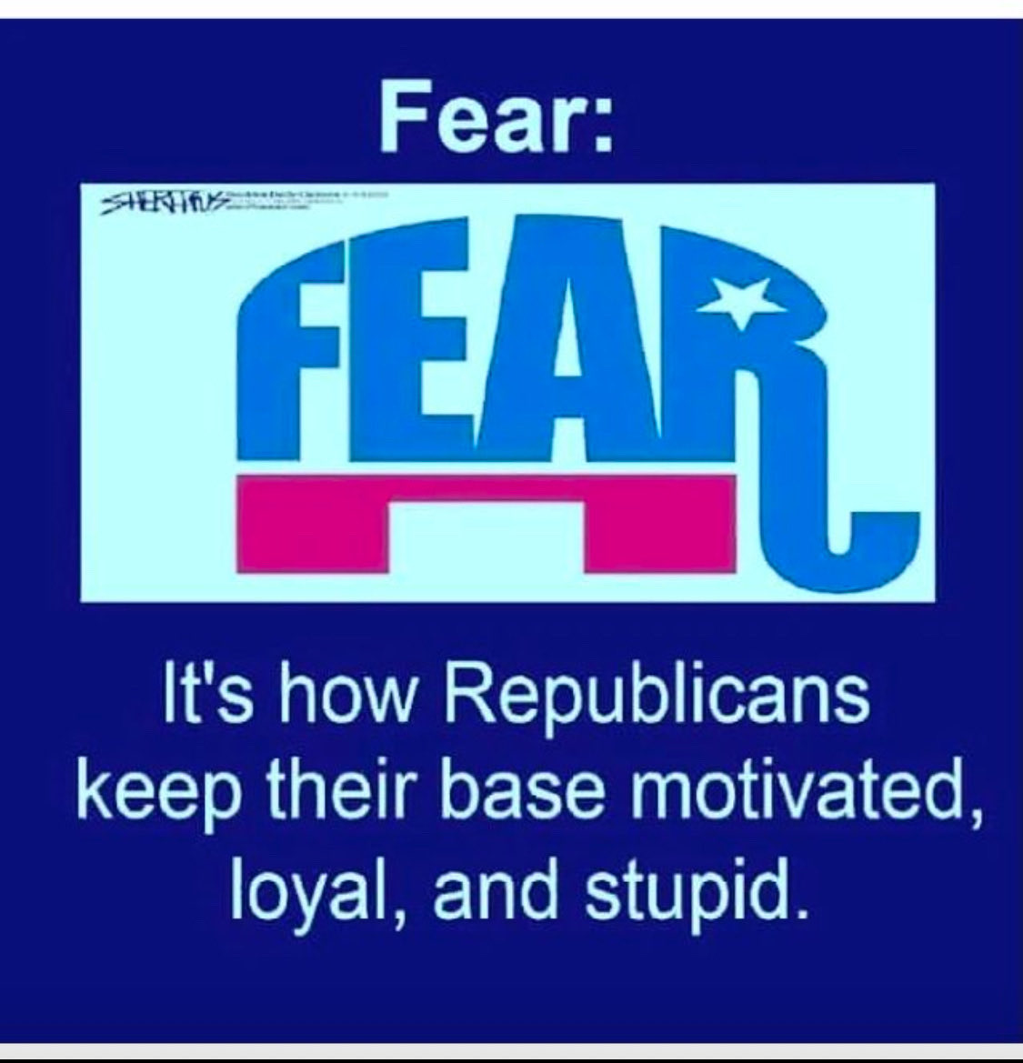 StinkyDiap58e's tweet photo. @MAHaley15613284 @mattvanswol #MAGAtMorons https://t.co/qsZV4jiSrm