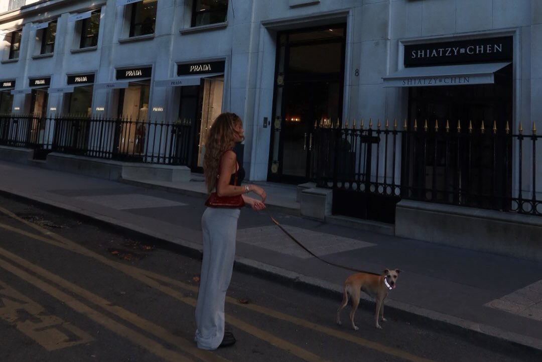 MStoesselBR's tweet photo. FIFI INTERNACIONAL! A cachorra da Tini está em Paris ✨ https://t.co/auduwINDzd