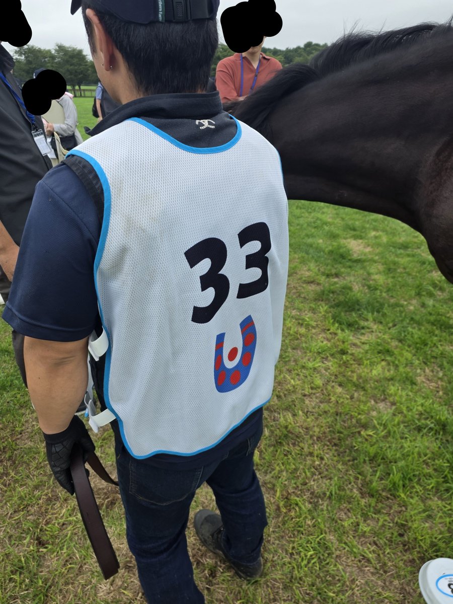 tabaggio10's tweet photo. 手頃な牡馬で最後まで悩んでるのが
69チャーチクワイア池添学
33サラーブ宮田
なんで買いやすい良血いつも池添、宮田ばっかなんよ

シスキン魅力だが、ローズウィスパーいくから2年連続2頭出資には抵抗あり

宮田はミラージュノワール壊してくれたから、シルステな時点で不安しかないしシャトブラいく https://t.co/6cvJsS820g