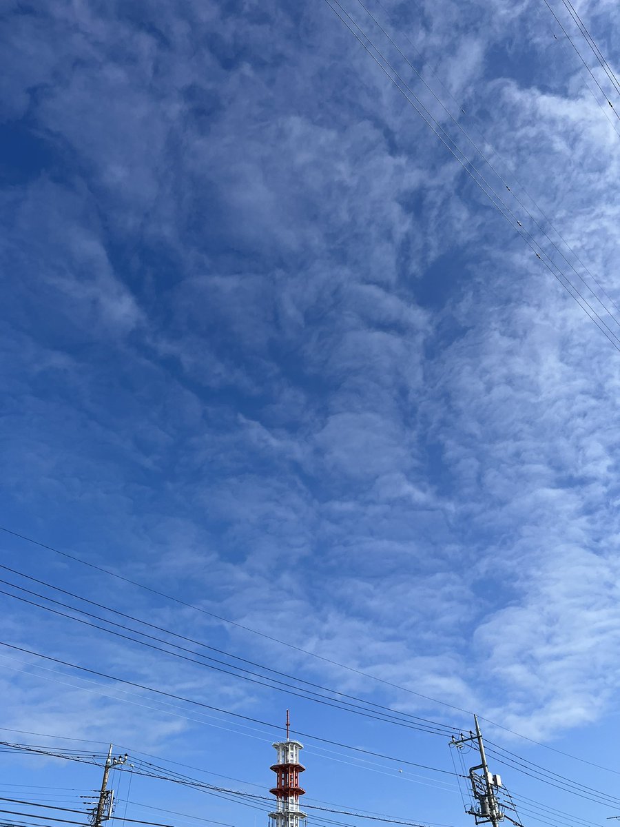 toei_densetsu's tweet photo. おはようございます。
今日の宇都宮は晴れのち曇りです☀️☁️
最高気温は31℃です。
こまめな水分補給を心がけましょう🧋

#毎週水曜日はノー残業デー
#完全週休二日制
#電気工事
#企業公式つぶやき 
#企業公式が地元の天気を言い合う https://t.co/AmxJPA0F9a
