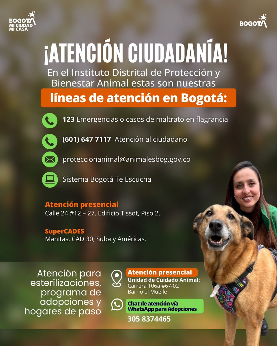 AnimalesBOG's tweet photo. #Importante Estos son los únicos canales y puntos oficiales de atención del IDPYBA.

Recuerda: Todos nuestros servicios son gratuitos y sin intermediarios.

Bogotá es protección animal.🐾 https://t.co/CwLO7o6wow