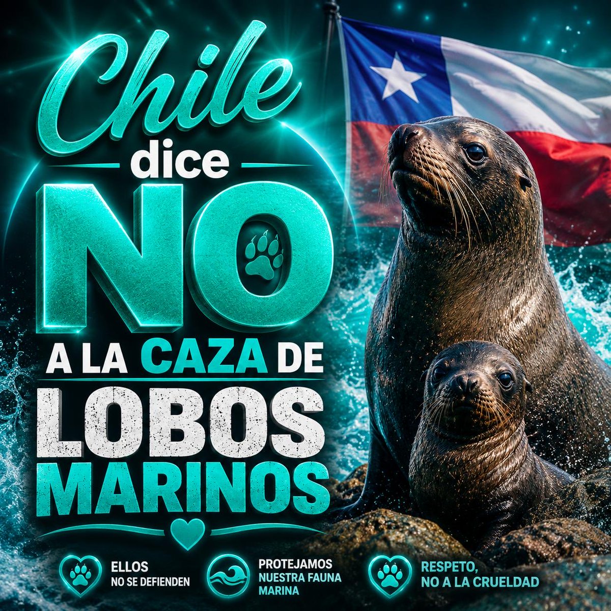 Elizabeth_n_n's tweet photo. #NoALaCazaDeLobosMarinos https://t.co/VABjx9SuPM
