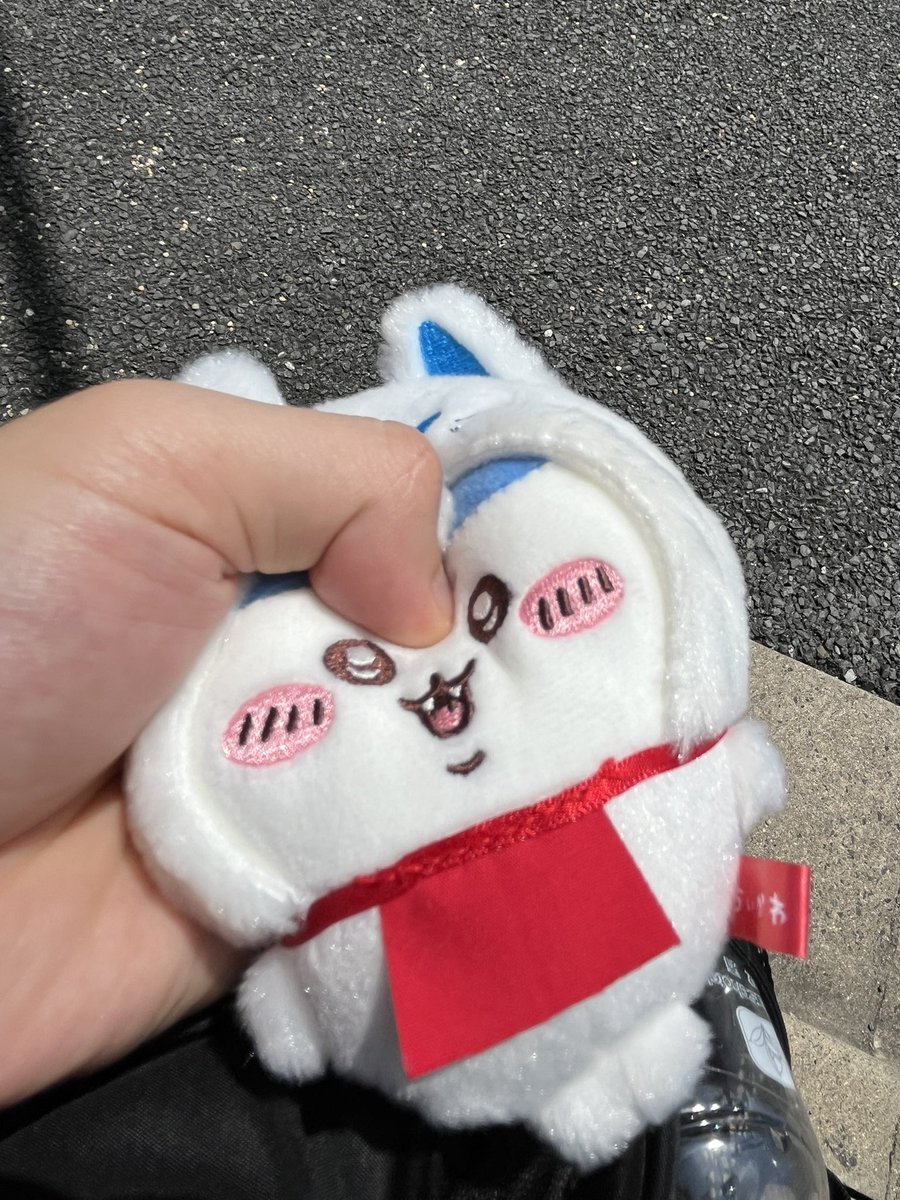 Hatop_810's tweet photo. ﾅｲﾁｬｯﾀｯ https://t.co/y0q7N51htG