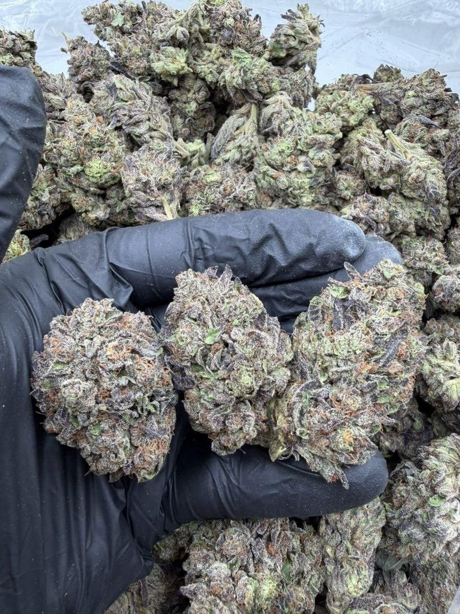 led1636521's tweet photo. Madrid weed Barcelona weed Seville weed Málaga weed Murcia weed Palma weed Las Palmas de Gran Canaria weed Bilbao weed Alicante weed Córdoba weed Valladolid weed Vigo weed Gijón weed L’Hospitalet de Llobregat weed A Coruña weed Vitoria-Gasteiz weed Granada weed Elche weed https://t.co/IiMqleYKpr