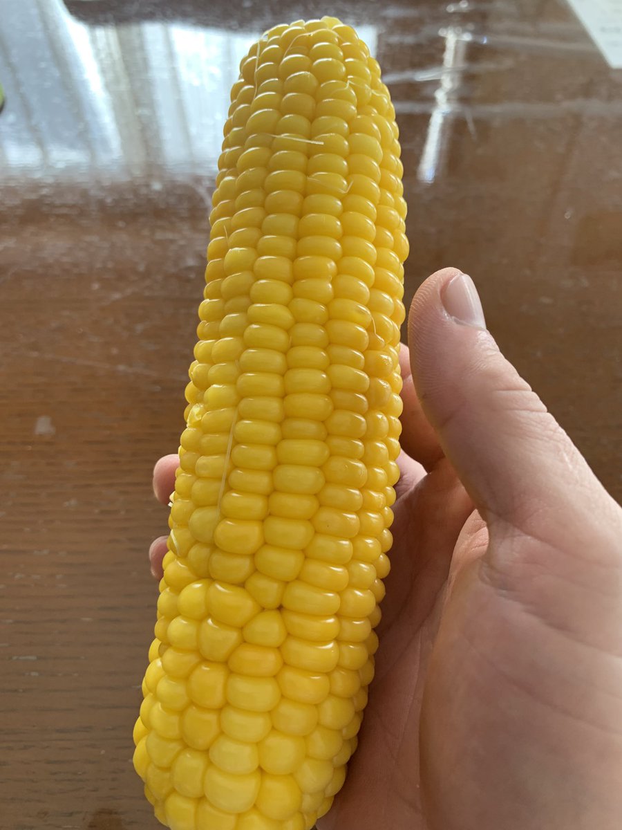 bisyamon0407's tweet photo. おはようございます☀

昨日いただきました
朝獲れ🌽とうもろこし🌽

🌽は朝獲れのが最高に
決まってます😀

ありがとうございます😭 https://t.co/bzfo3iDRcm
