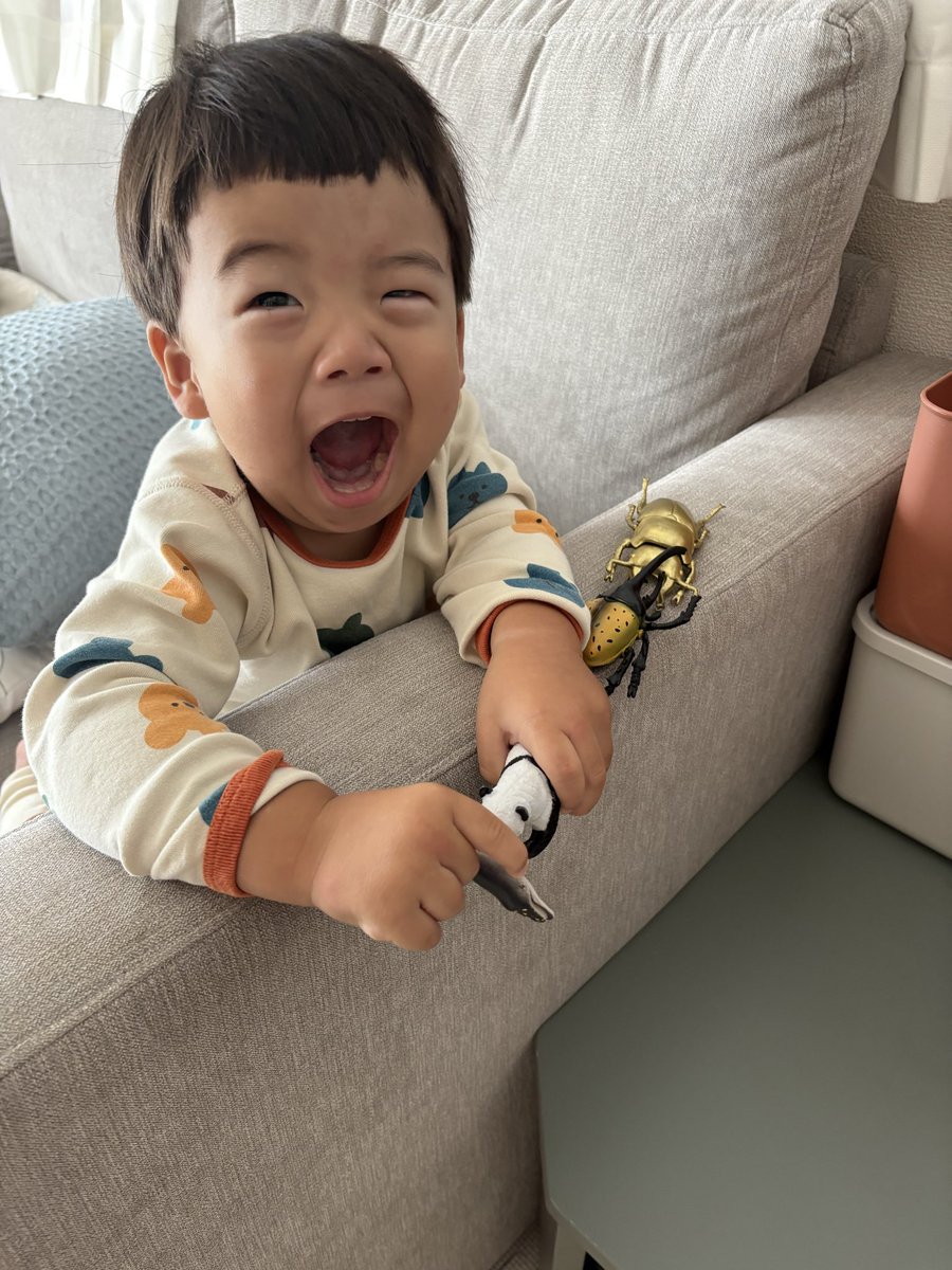 kyooooka0921's tweet photo. RSウイルス→肺炎→喘息で入院してました
２日間おかんと離れて過ごした寂しさをやっと忘れて大あくびこきながら1人遊び😌かわい https://t.co/3ypHxm1zUf