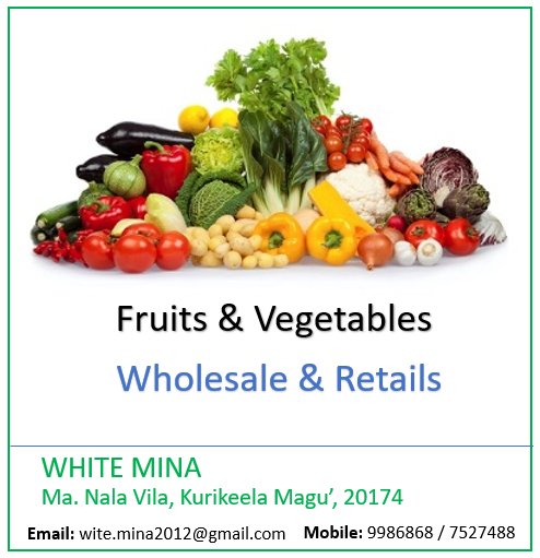 WhiteminaMv's tweet photo. Onion
Potato
Watermelon
Cabbage
Pineapple
Pumpkin
Egg https://t.co/ELDV9GyNjn