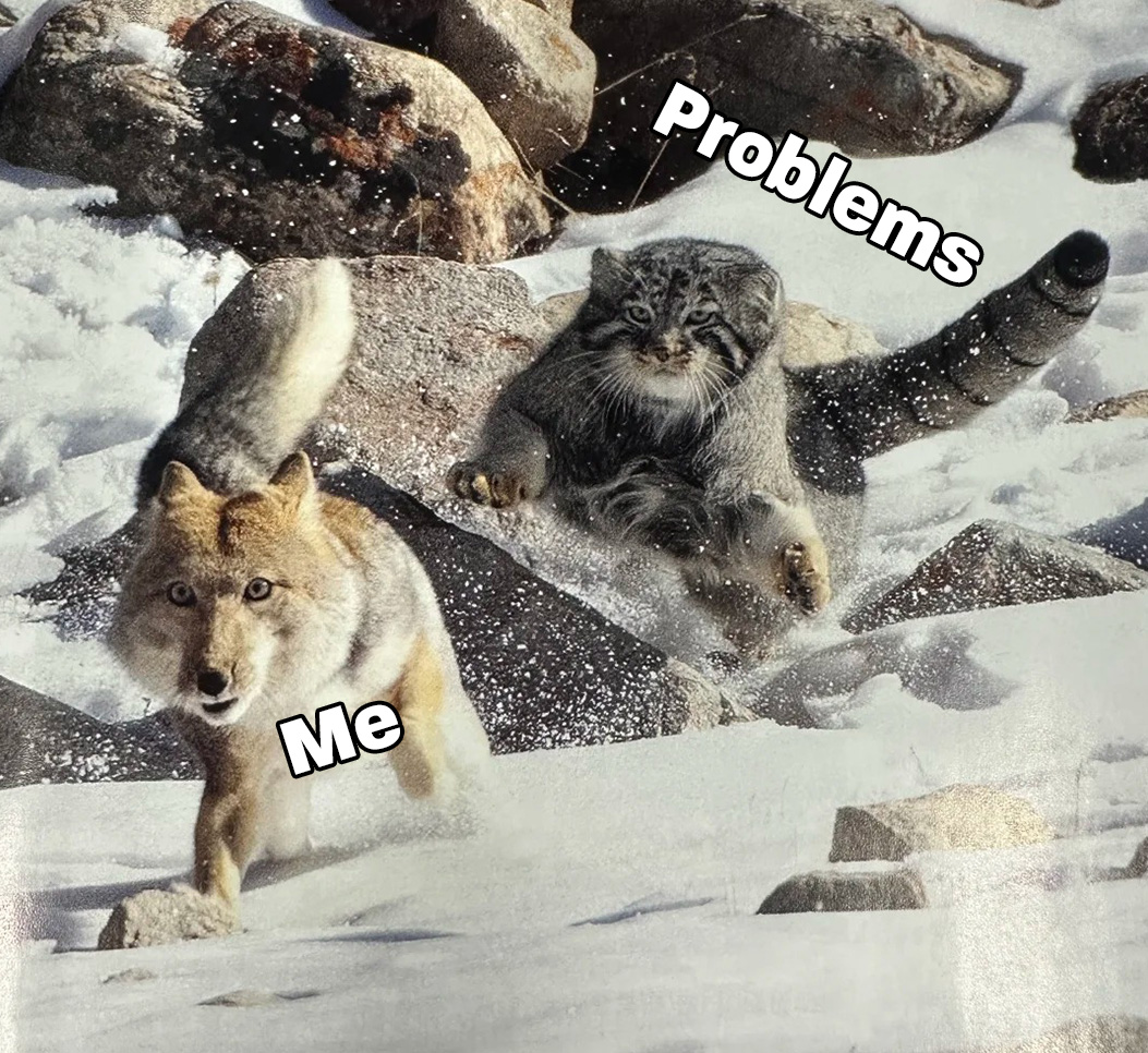 wamofox's tweet photo. me running away from my problems https://t.co/v4XispEzbp