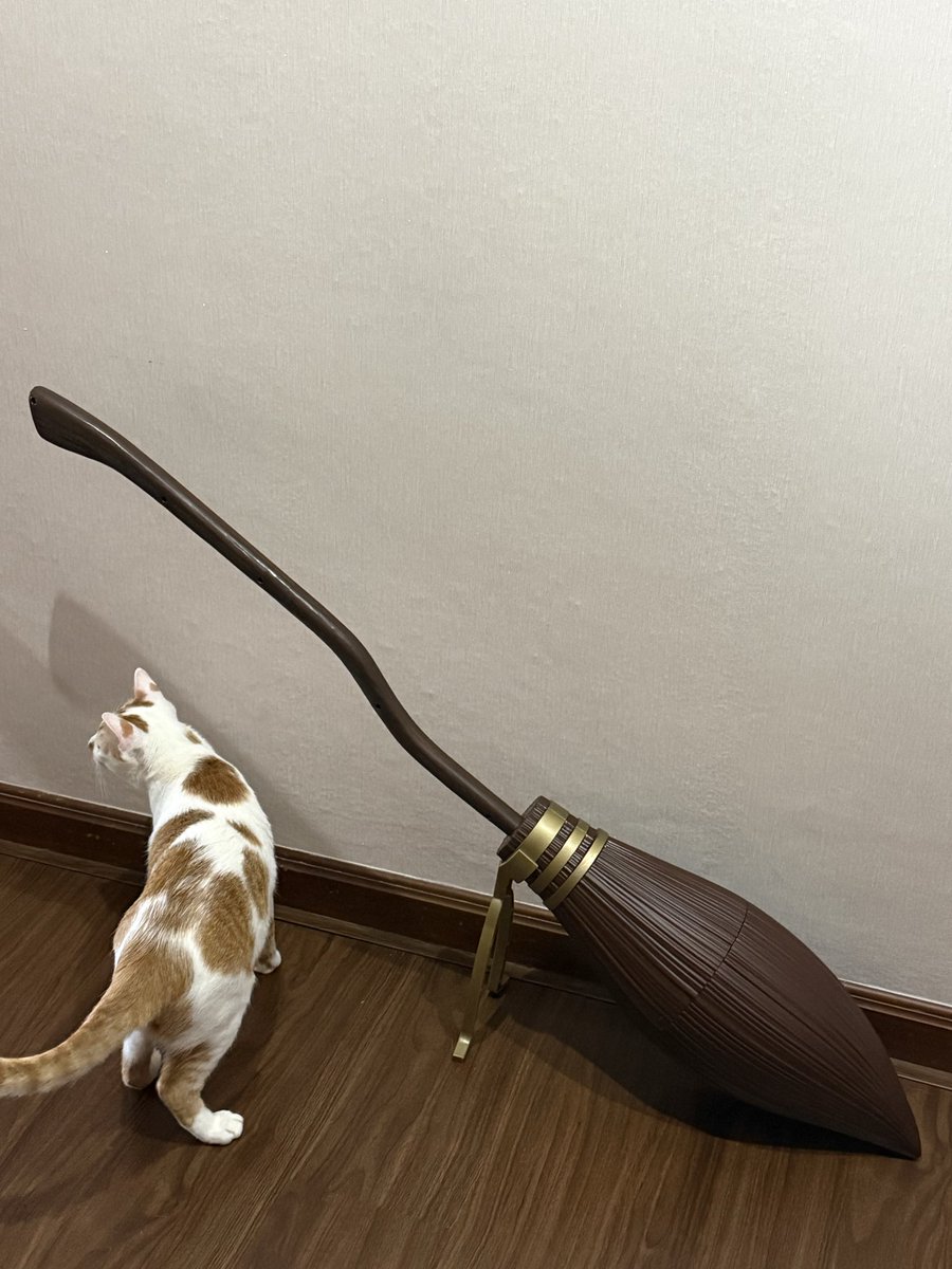 anitazzr's tweet photo. ปุ๋ยย์: คุณจะทำทรงไหนคะ? 

อูนิ&amp;แซลมอน: เกล้า ตลบไปข้างหลัง สำหรับใส่หมวก คืนนี้ฉันมีบิน 🧹⚡️🦉🤣

#harrypotter #nimbus2000 https://t.co/NYbGKjzIjg