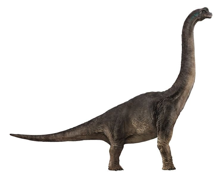 BuddAsth's tweet photo. @pinkyp1e__ Un Brachiosaurus. https://t.co/Ixt5WjhxtY