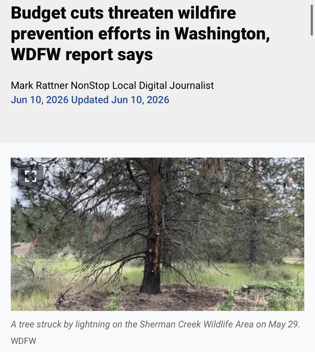 PNWConservative's tweet photo. Democrat led Washington cut fire prevention efforts…

… to fund laser hair removal and breast implants for tr*ns inmates. https://t.co/eA3YijjyRE