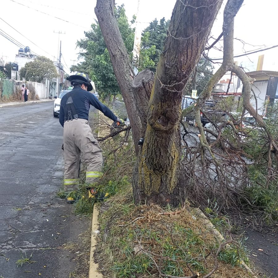 FerFlores_Emp's tweet photo. ⚠️ ¡Toma precauciones! ⚠️

👨‍🚒 Nuestros bomberos, junto con el personal de Servicios Públicos, ya se encuentran trabajando para retirar una rama caída sobre la calle Adolfo López Mateos, en Agrícola Lázaro Cárdenas, San Salvador Tizatlalli.

🌳 Además, atendieron el retiro de un árbol caído sobre Paseo de los Sauces, en Casa Blanca, para liberar la vialidad y evitar riesgos.

🚗 Si vas a pasar por estas zonas, maneja con calma, disminuye la velocidad y sigue las indicaciones del personal.

¡Gracias por tu comprensión!